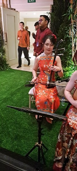 Musik Guzheng Erhu Harpa Dll