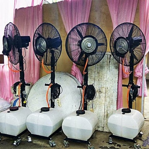 Sewa AC Genset Kipas Angin Toilet
