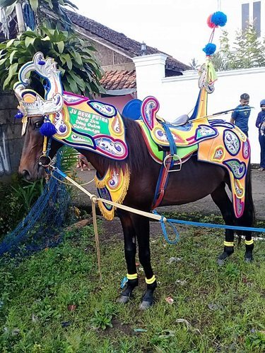 Kuda Renggong Suryakencana