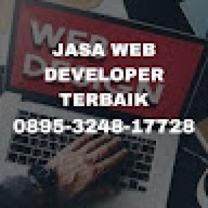 Albi Web Developer