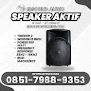 Distributor Elsound Audio Speaker